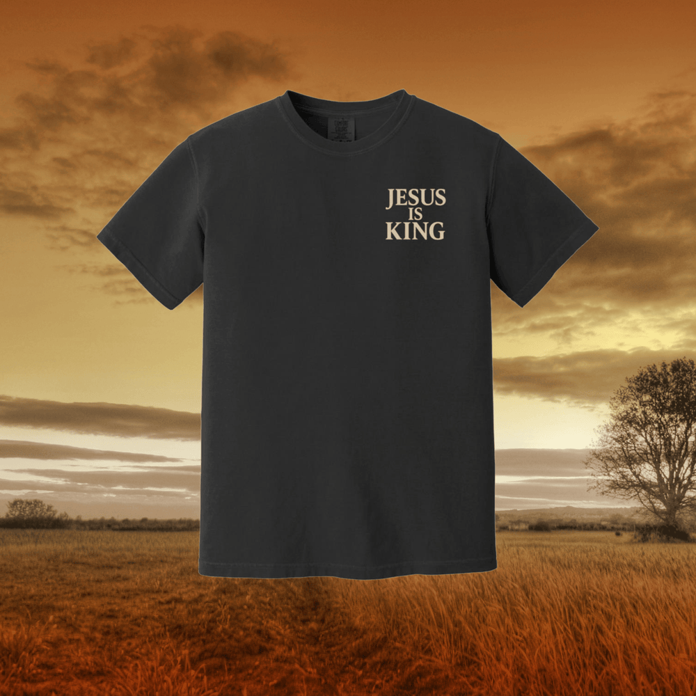 Jesus is King | Adult Heavyweight Unisex Tee