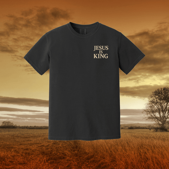 Jesus is King | Adult Heavyweight Unisex Tee